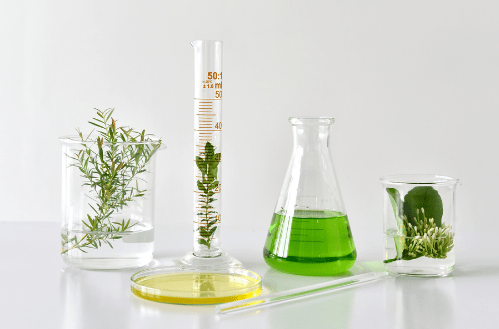 Plant pathology research and development